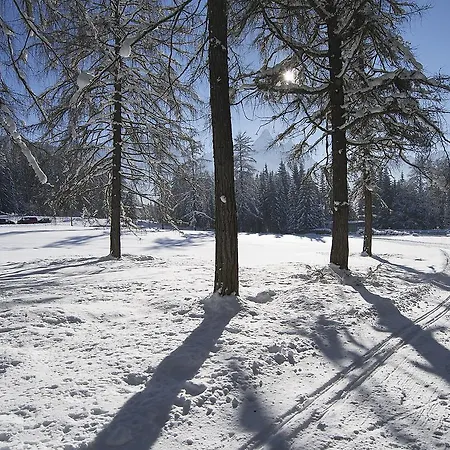Unser Sonnenblick